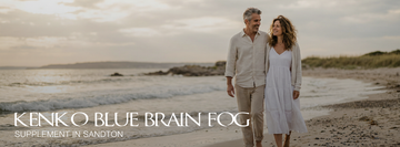 Brain fog supplement Sandton daily wellness support