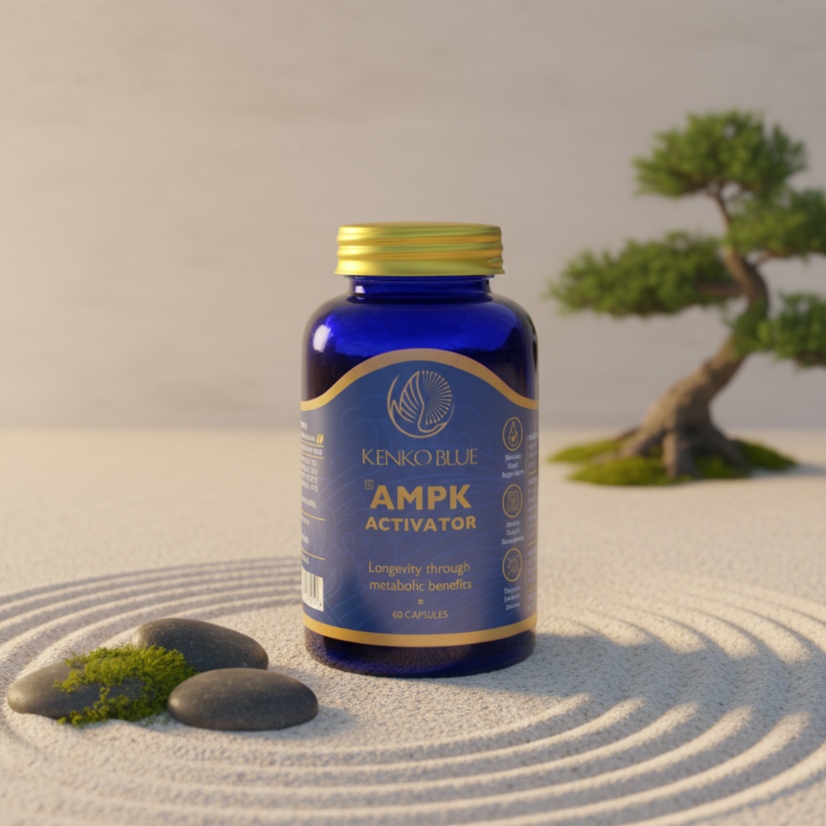 AMPK activator in a zen garden