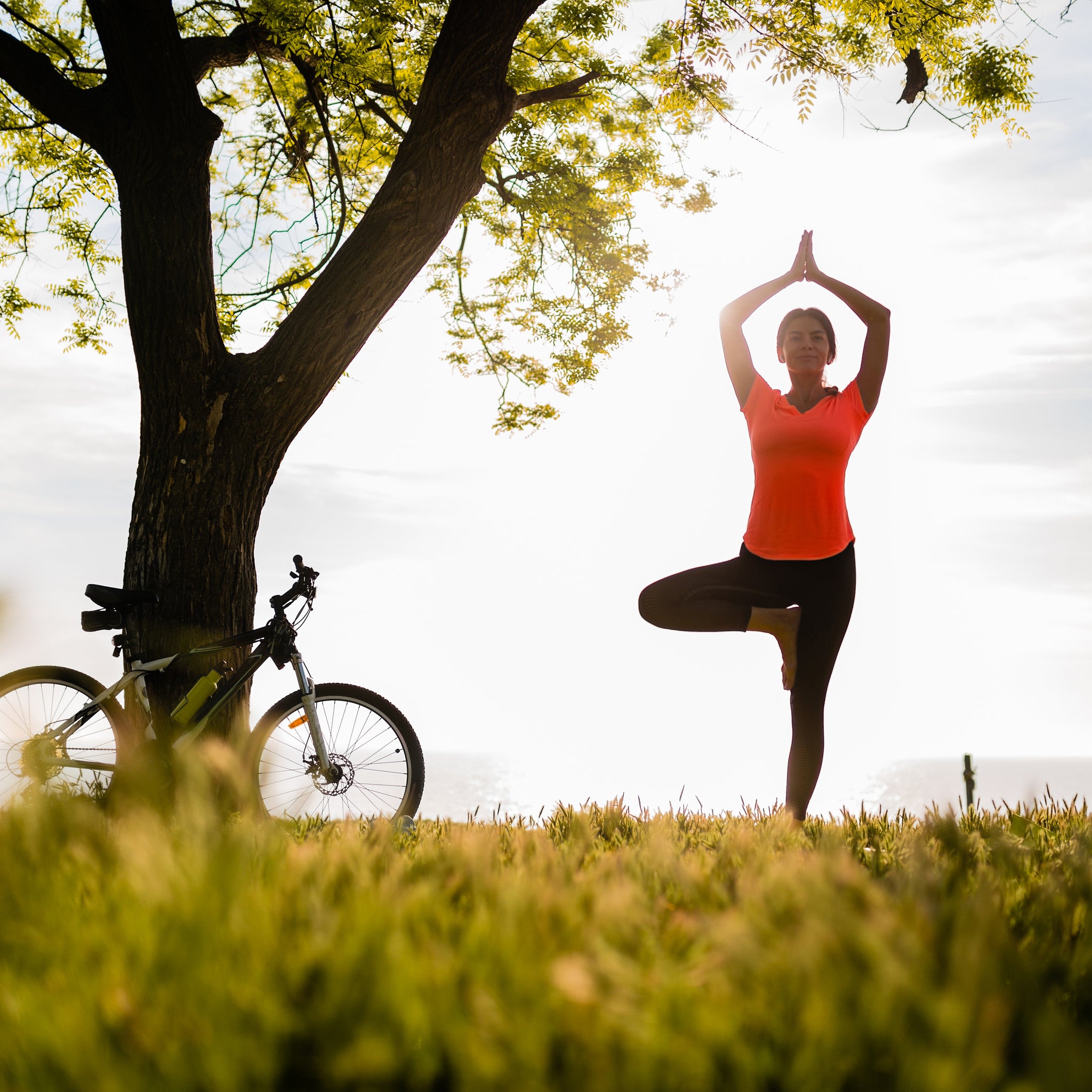 Person practicing yoga under a tree with a bicycle nearby