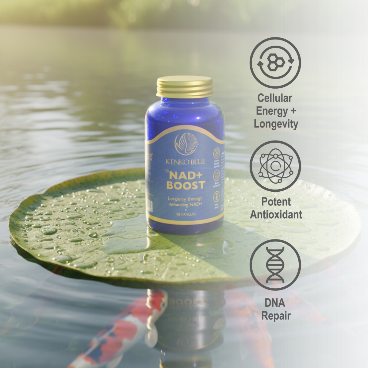 Kenko Blue NAD+ Boost supplement bottle on a lily pad with water and fish in the background