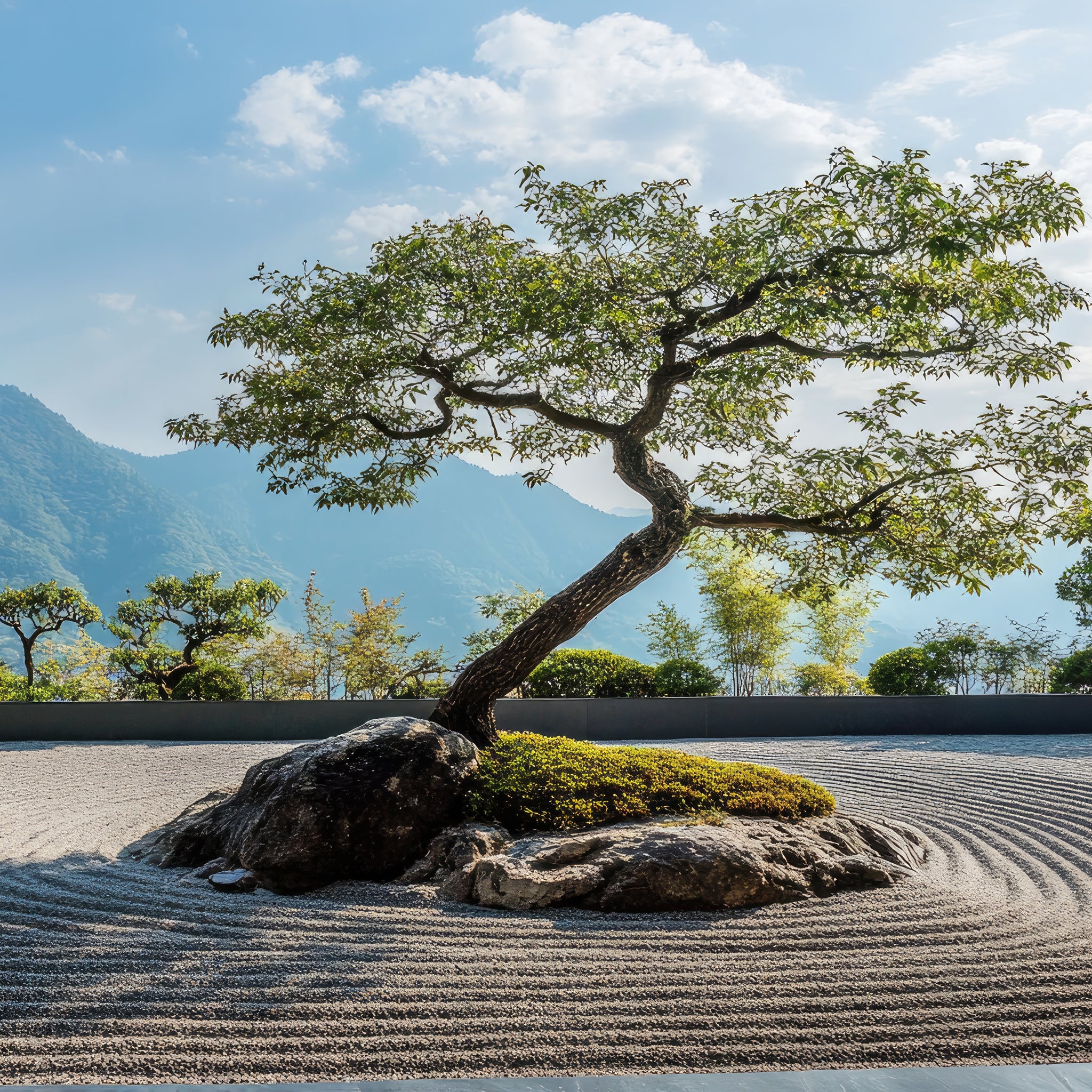Zen garden with a tree and mountains in the background